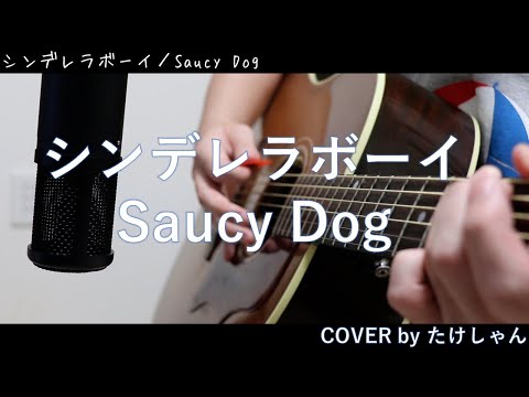 シンデレラボーイ / Saucy Dog 【アコースティックCover】
