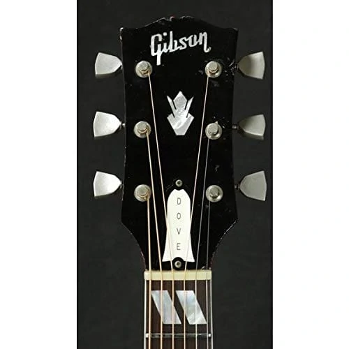 Gibson Dove 1965