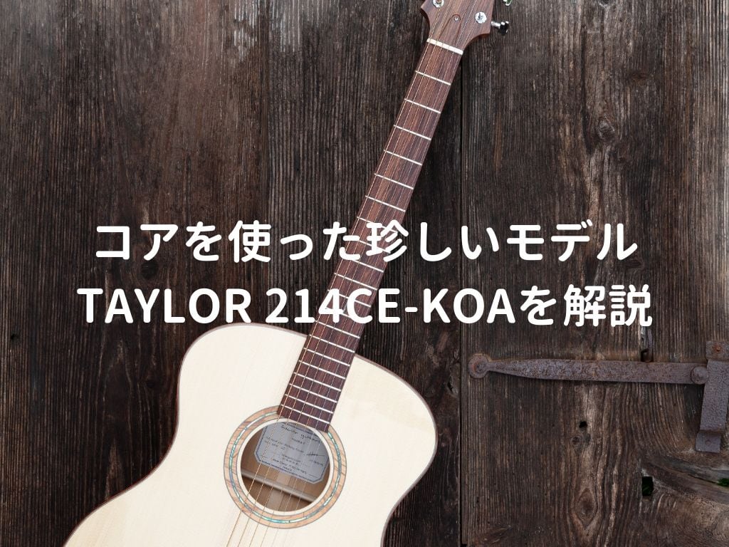 Taylor（テイラー）214ce-Koaをレビュー。10万円台で買える人気の 