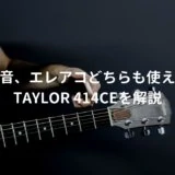 Taylorギター
