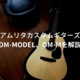 DM-Model