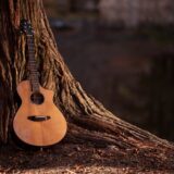 アコースティックギターを木に立てかけている写真