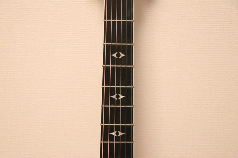 Taylor 814ceのネック
