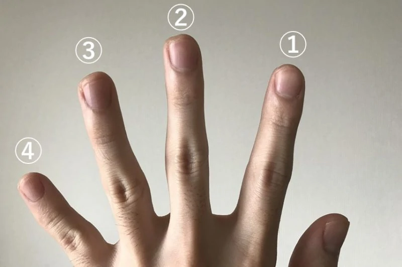 コードダイアグラムの表記に対応した左手の指
