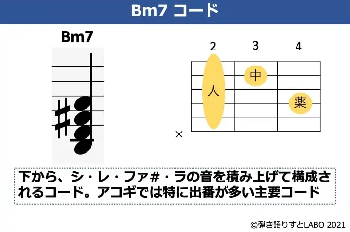 Bm7の構成音とギターコードフォーム