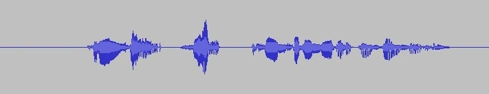 SM7Bでボイス録音したときの波形