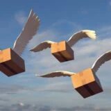 Amazonの箱を運ぶ鳥
