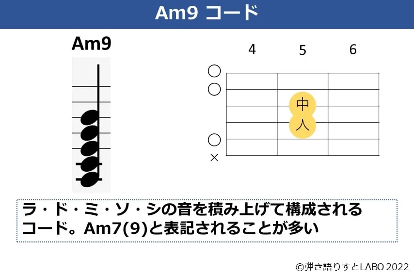 Am9の構成音とギターコードフォーム